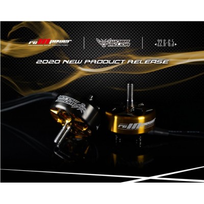 Động cơ 4S RCINPOWER Wasp Major 22.606.5 2420KV (VÀNG-ĐEN)