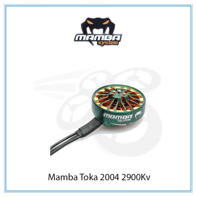 Động Cơ Mamba Toka 2004 2900Kv | Green